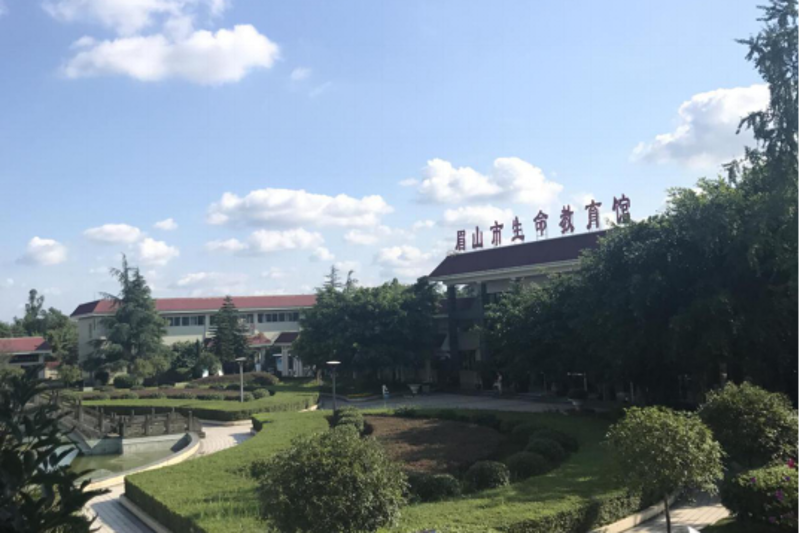 重疾险:守护健康的铠甲