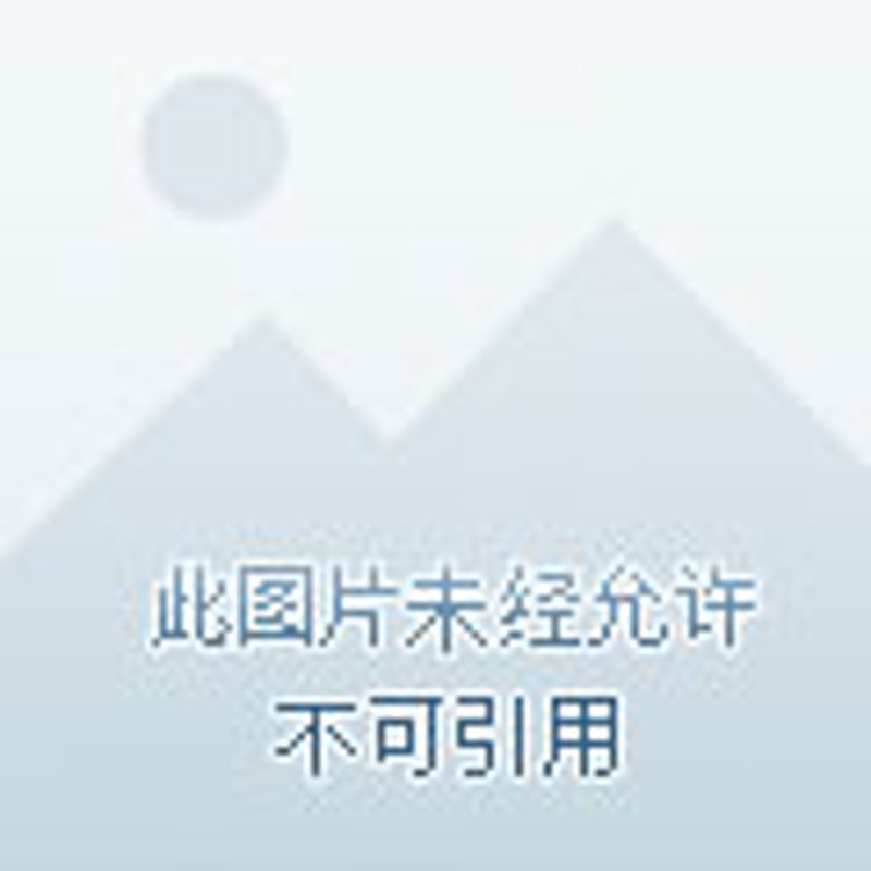 人寿保险的多样选择:为您的未来撑起保护伞